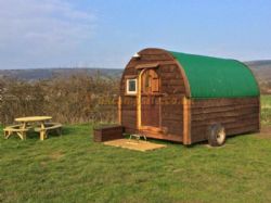 Cheddar Petruth Paddocks