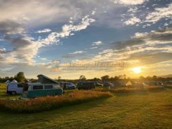 Cheddar Petruth Paddocks