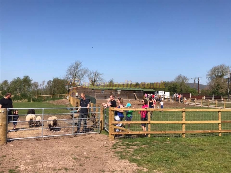 Cheddar Petruth Paddocks