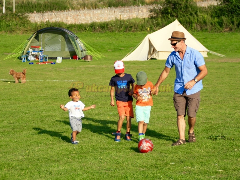 Cheddar Petruth Paddocks