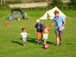 Cheddar Petruth Paddocks
