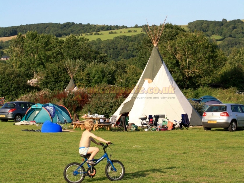 Cheddar Petruth Paddocks