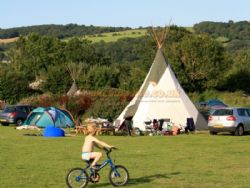 Cheddar Petruth Paddocks