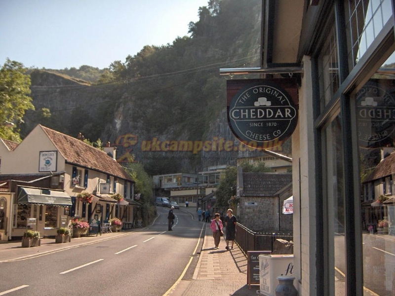 Cheddar Petruth Paddocks