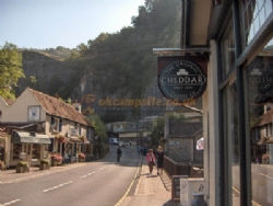 Cheddar Petruth Paddocks