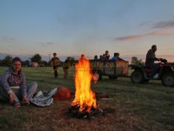 Cheddar Petruth Paddocks