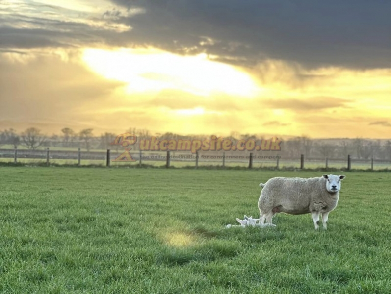 Annstead Farm Caravan And Campsite