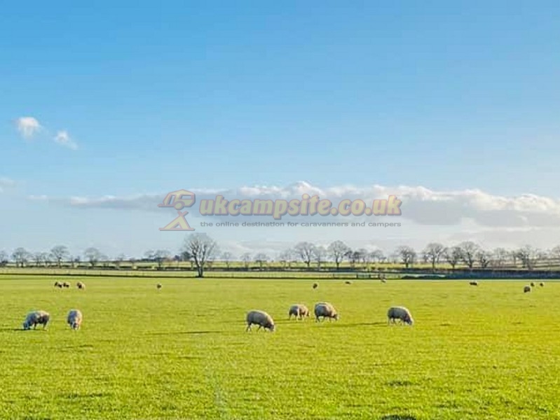 Annstead Farm Caravan And Campsite