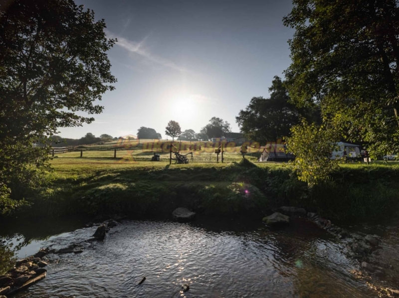 Bank House Farm