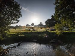 Bank House Farm