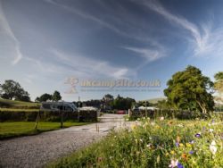 Bank House Farm