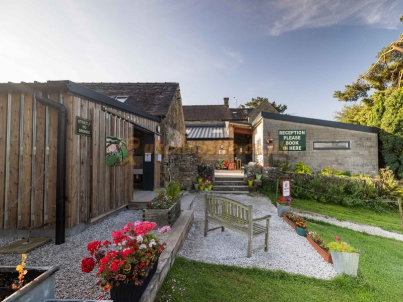 Bank House Farm