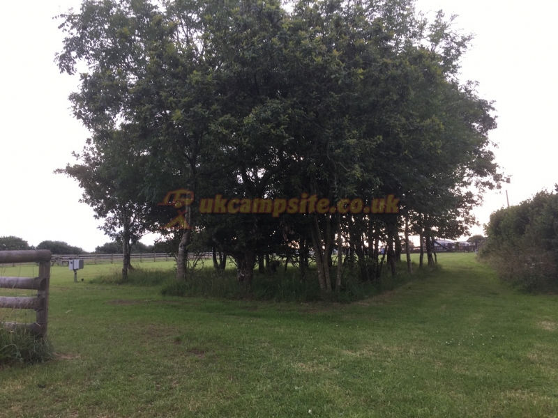 Noteworthy Farm Caravan And Campsite