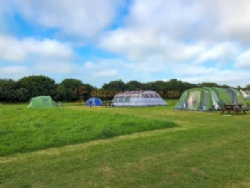 Noteworthy Farm Caravan And Campsite