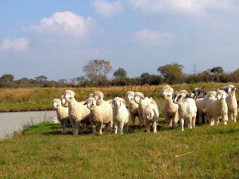 Noteworthy Farm Caravan And Campsite