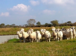 Noteworthy Farm Caravan And Campsite