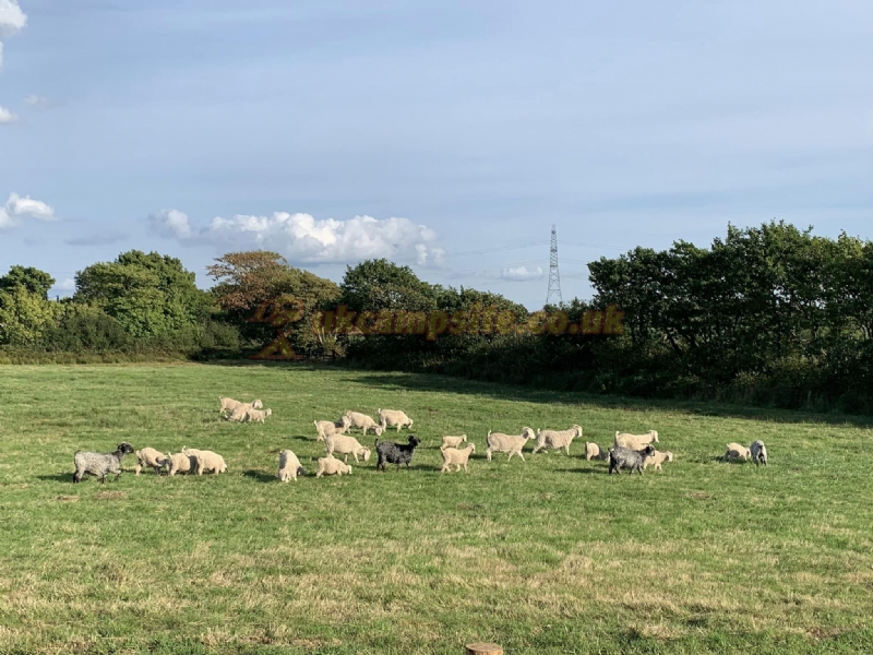 Noteworthy Farm Caravan And Campsite