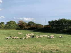 Noteworthy Farm Caravan And Campsite