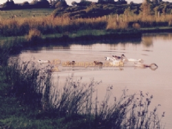 Noteworthy Farm Caravan And Campsite