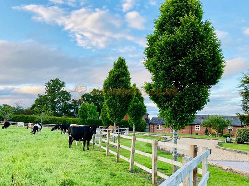 New Farm Caravan Site And Fishery