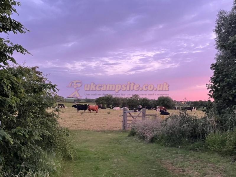 New Farm Caravan Site And Fishery