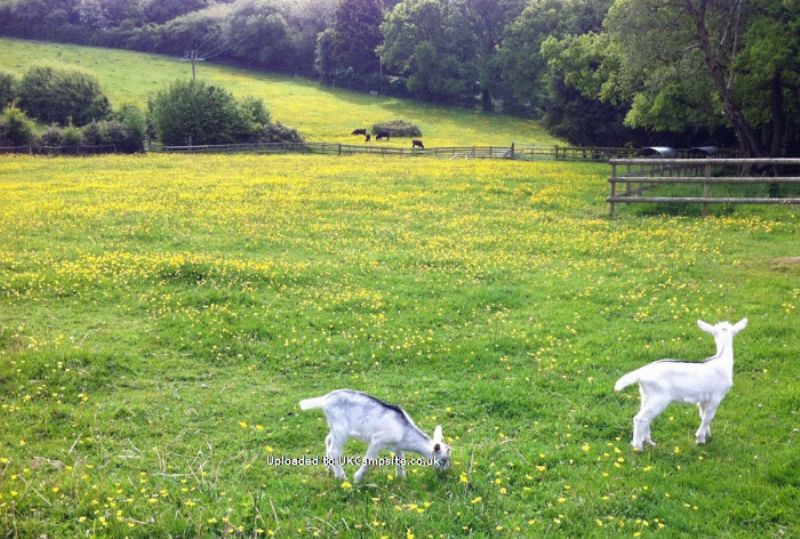 Rushcroft Farm