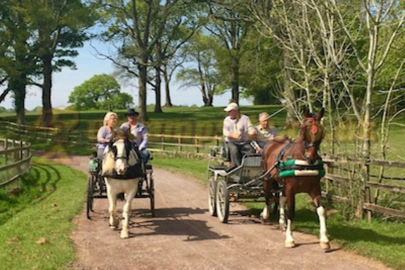 Rushcroft Farm