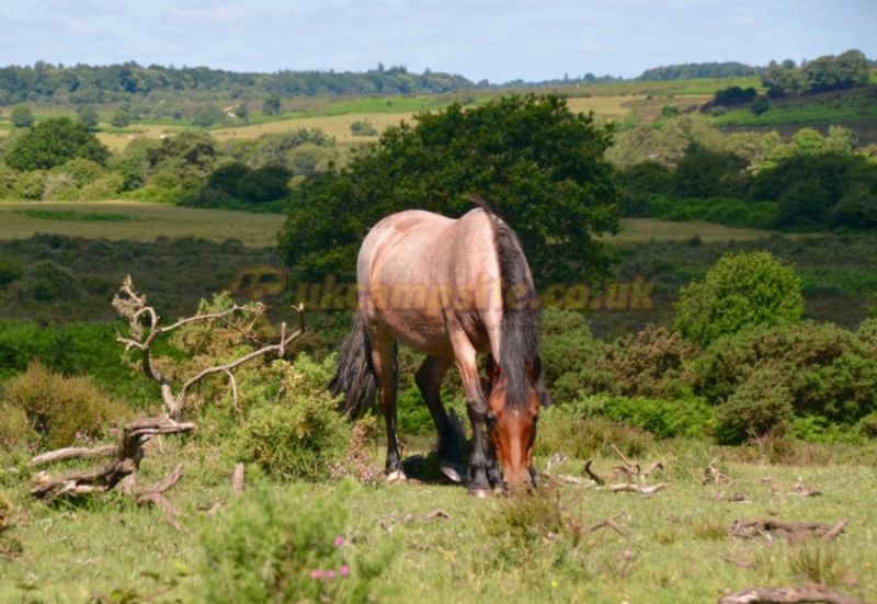 Rushcroft Farm