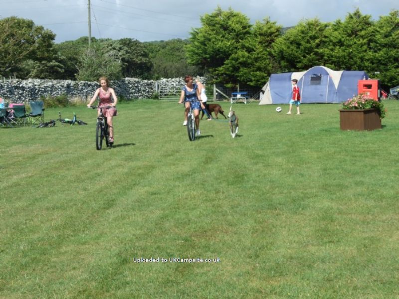 Sarnfaen Touring And Tent Park
