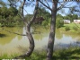 Camping La Motte Camping La Motte