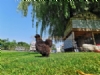 Manor House Glamping Manor House Glamping