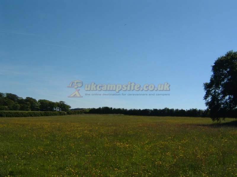 Little Orchard Caravan Park