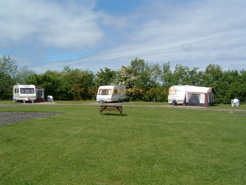 Little Orchard Caravan Park