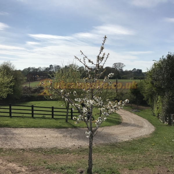 Newnes Touring Caravan Park