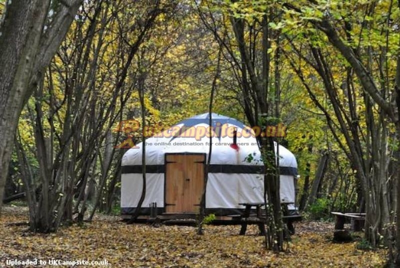 Wowo Campsite