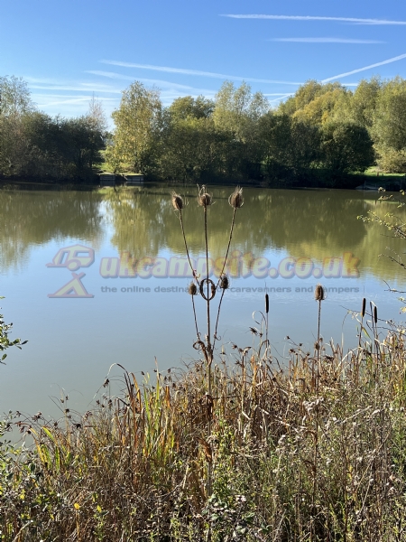 Borowaters Caravan And Camping Park And Fishing Lake