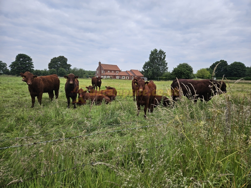 Approach Farm Caravan Site
