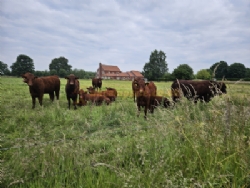 Approach Farm Caravan Site