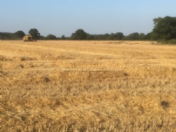 Approach Farm Caravan Site