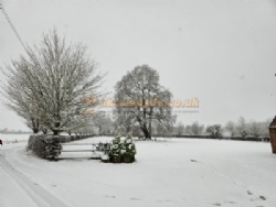 Approach Farm Caravan Site