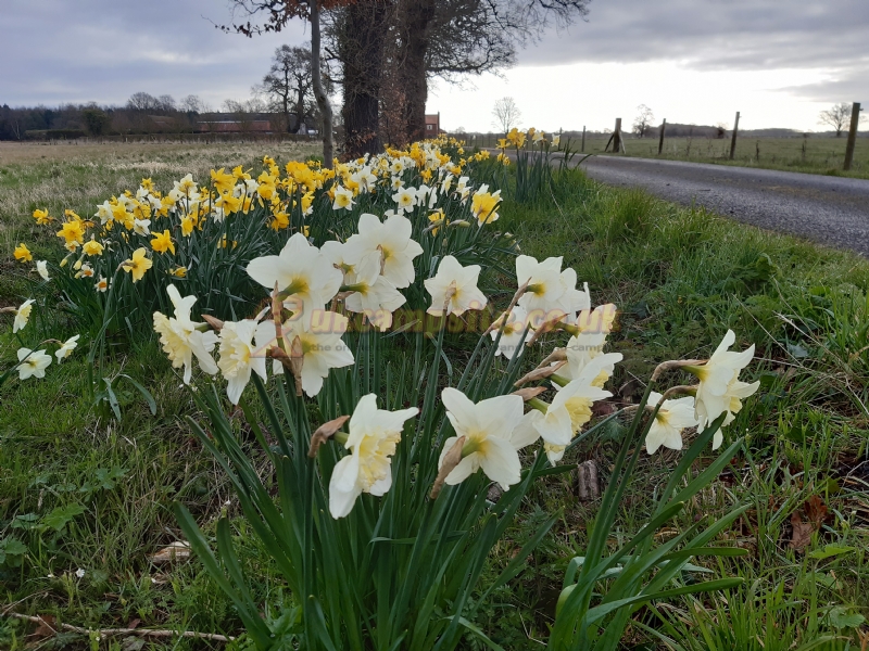 Approach Farm Caravan Site
