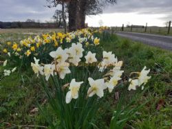 Approach Farm Caravan Site