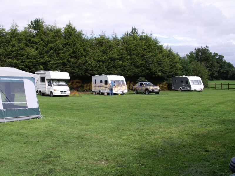 Dans Meadow