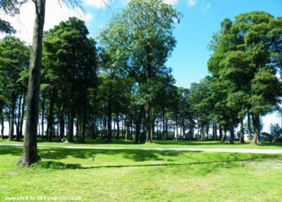 Staden Grange Campsite