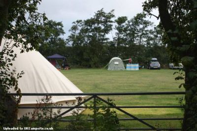 Palace Farm Camp Site