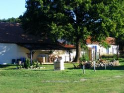 Camp Laurent