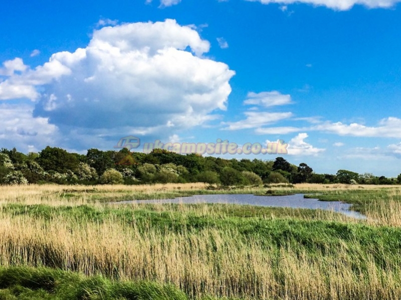 Sunnydale Farm Touring Park Ltd