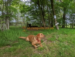 Gallowhill Camping And Caravan Park