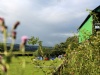Lower Porthamel Organic Farm