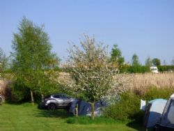 Field Barn Park Campsite